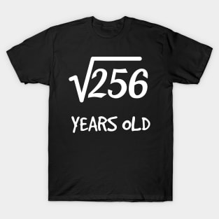 Square Root of 256: 16th Birthday 16 Years Old Teen Boy Girl T-Shirt